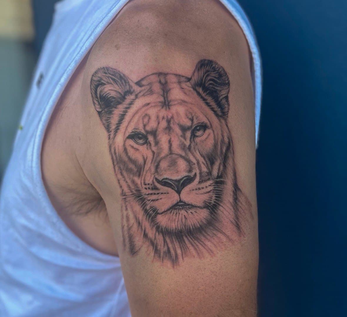 Black and grey realism tattoo of a lioness on a shoulder
